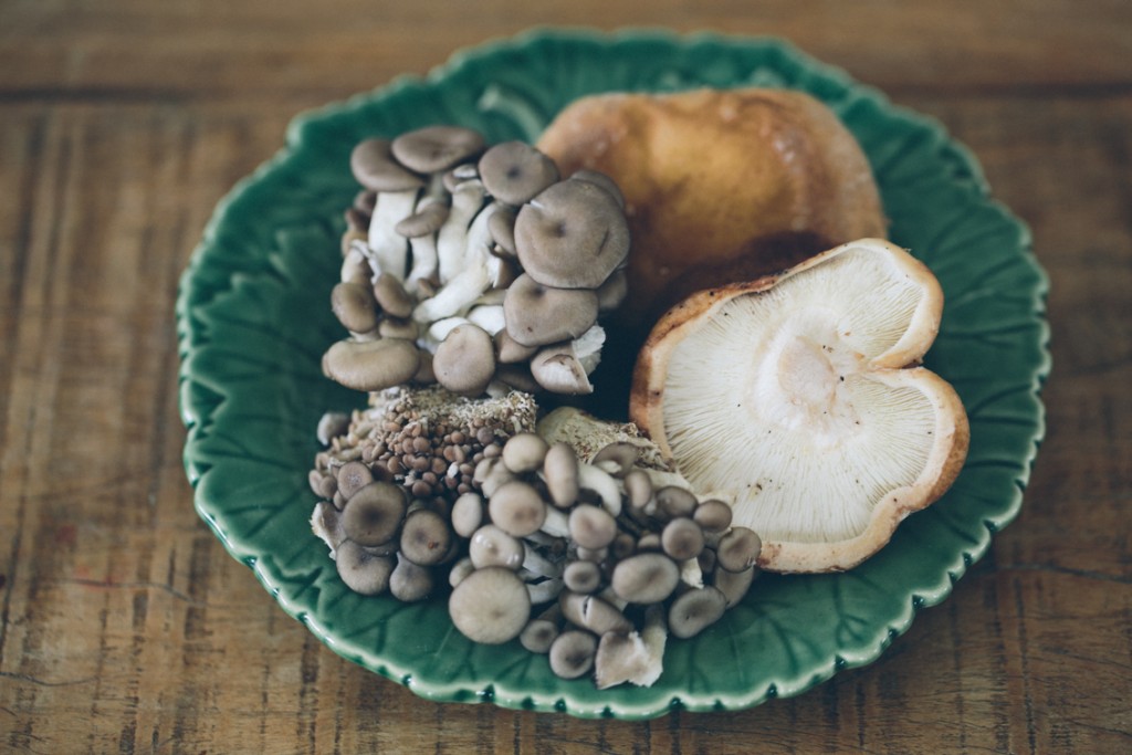 mushrooms and stress